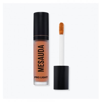 MESAUDA Pro Light Concealer - P01 4ml